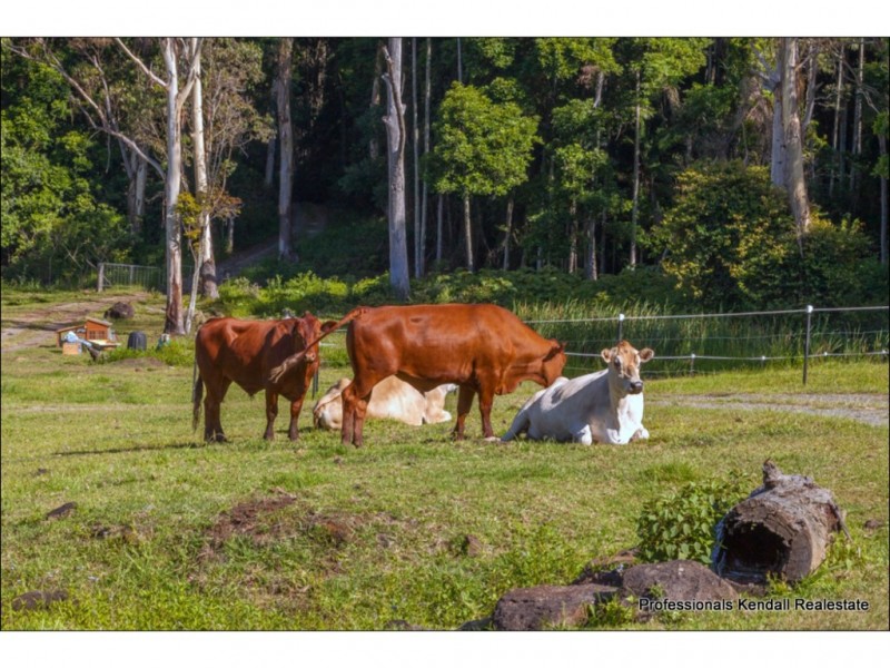110 The Shelf Road, Tamborine Mountain QLD 4272