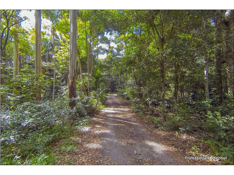 114 The Shelf Road, Tamborine Mountain QLD 4272