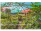641 Main Western Road, Tamborine Mountain QLD 4272