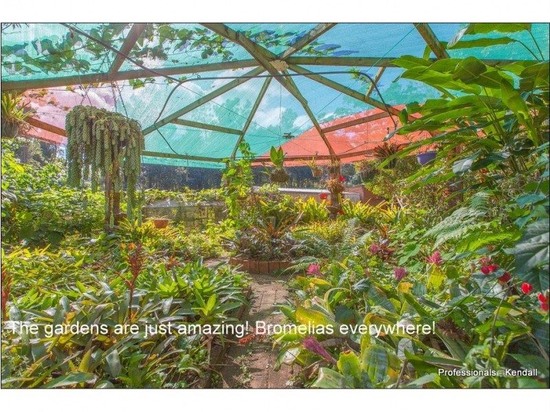 641 Main Western Road, Tamborine Mountain QLD 4272