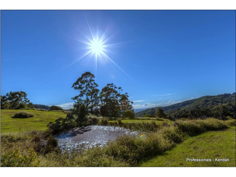78 The Shelf Road, Tamborine Mountain QLD 4272