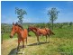 569 Oaky Creek Road, Beaudesert QLD 4285