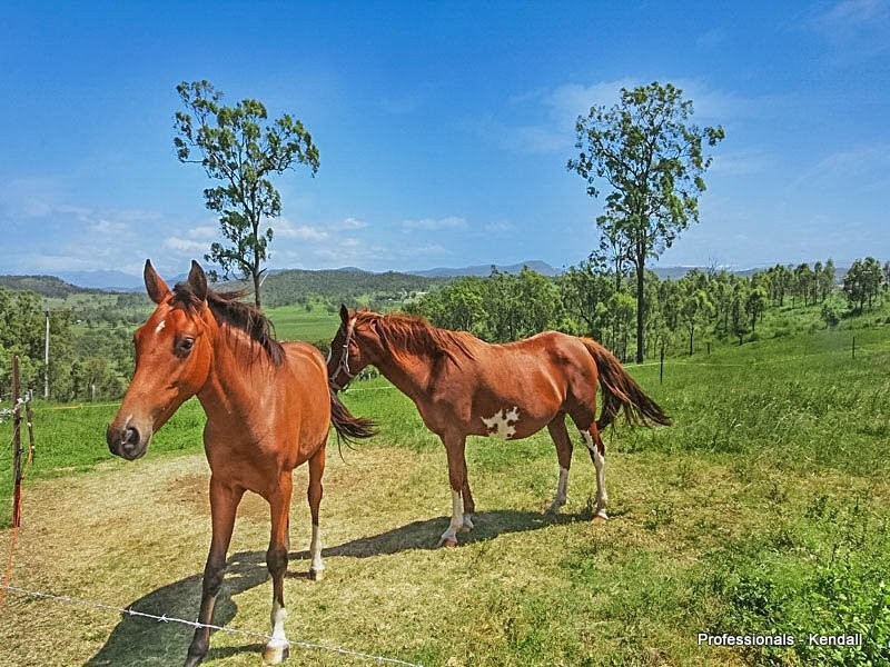 569 Oaky Creek Road, Beaudesert QLD 4285