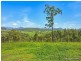 569 Oaky Creek Road, Beaudesert QLD 4285