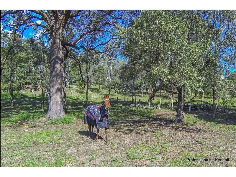 174 Vonda Youngman Drive, Tamborine QLD 4270