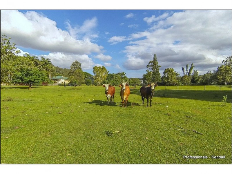 91 Currey Road, Wongawallan QLD 4210