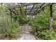 31 Siganto Street, Tamborine Mountain QLD 4272