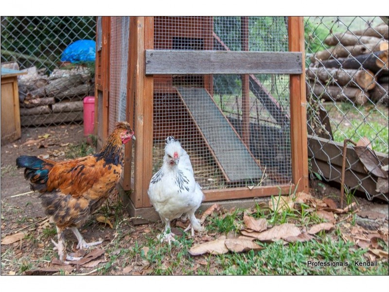 46 Riverbend Drive, Canungra QLD 4275