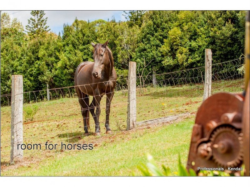 11 Holt Road, Tamborine Mountain QLD 4272