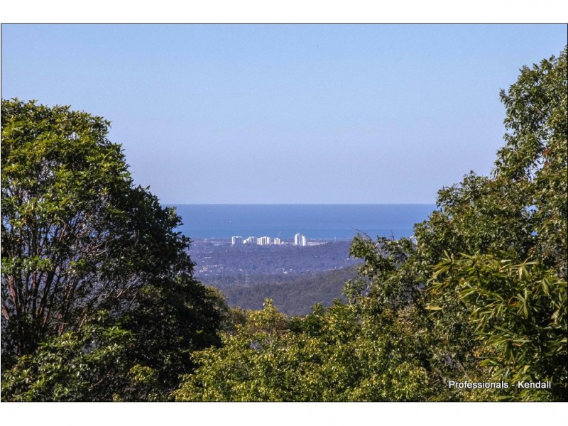 10 Borneo Court, Tamborine Mountain QLD 4272