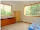 10 Borneo Court, Tamborine Mountain QLD 4272