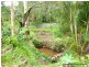 10 Borneo Court, Tamborine Mountain QLD 4272