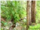 10 Borneo Court, Tamborine Mountain QLD 4272