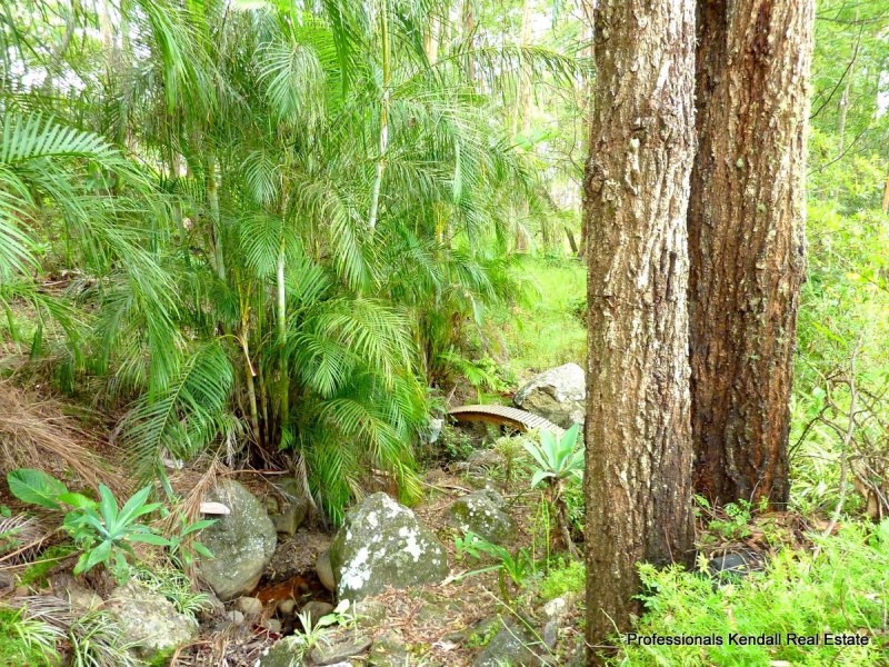 10 Borneo Court, Tamborine Mountain QLD 4272