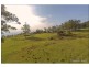 429A Main Western Road, Tamborine Mountain QLD 4272