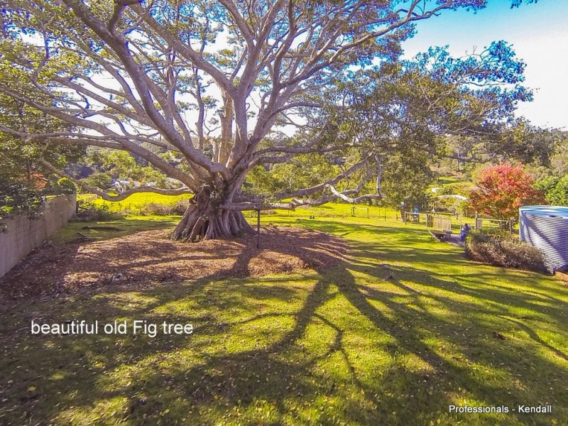 27 BENOWA DR, Tamborine Mountain QLD 4272