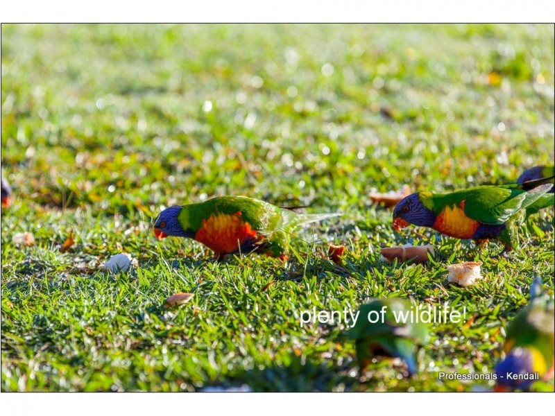 48 Wagonwheel Road, Boyland QLD 4275