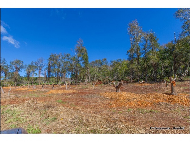 46 Holt Road, Tamborine Mountain QLD 4272