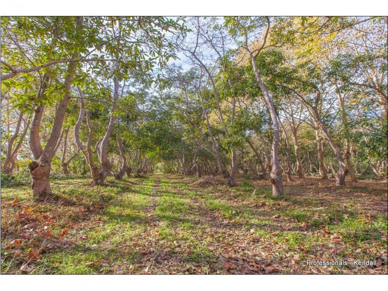 46 Holt Road, Tamborine Mountain QLD 4272