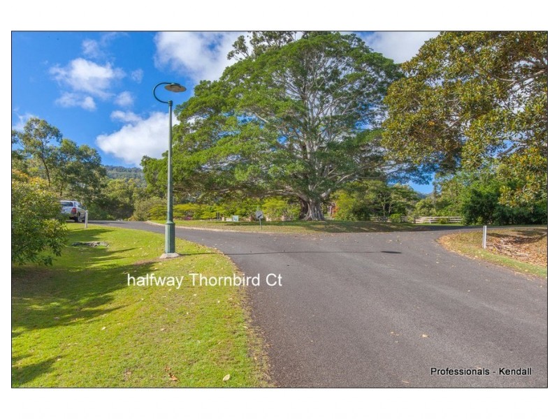 53 Thornbird Ct, Boyland QLD 4275