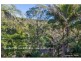 250 Guanaba Road, Tamborine Mountain QLD 4272