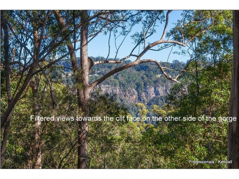 250 Guanaba Road, Tamborine Mountain QLD 4272