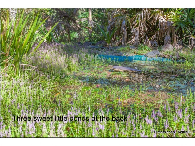 250 Guanaba Road, Tamborine Mountain QLD 4272