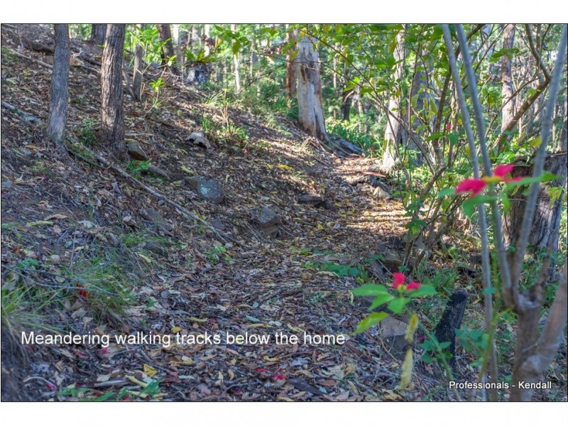 250 Guanaba Road, Tamborine Mountain QLD 4272