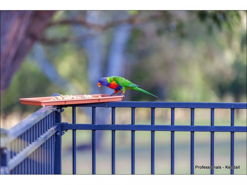 9 Tequesta Drive, Beaudesert QLD 4285