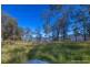 905A Main Western Road, Tamborine Mountain QLD 4272