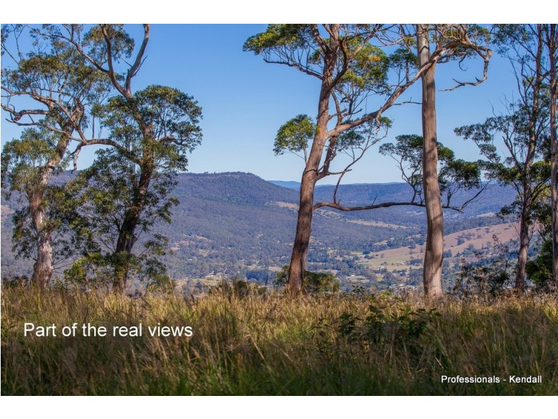 905A Main Western Road, Tamborine Mountain QLD 4272