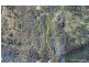 905A Main Western Road, Tamborine Mountain QLD 4272