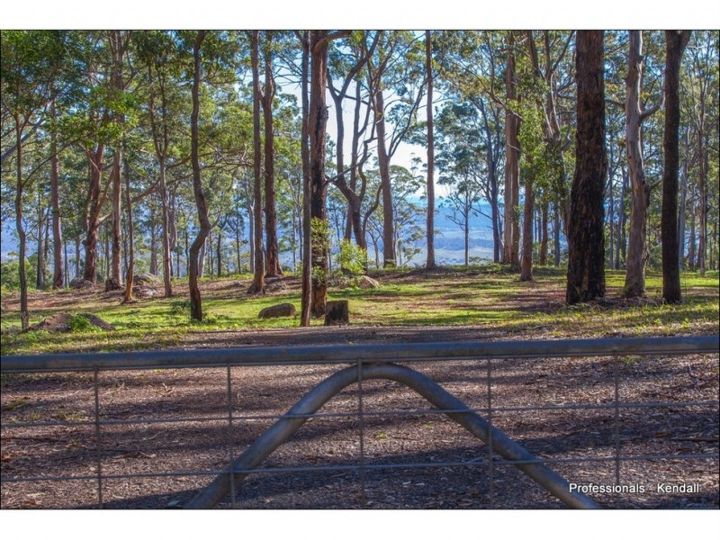 905J Main Western Road, Tamborine Mountain QLD 4272