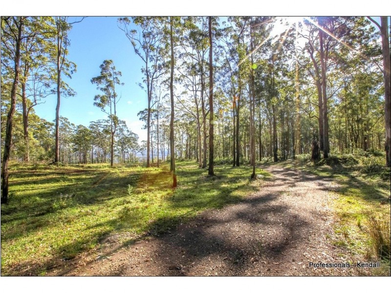 905J Main Western Road, Tamborine Mountain QLD 4272