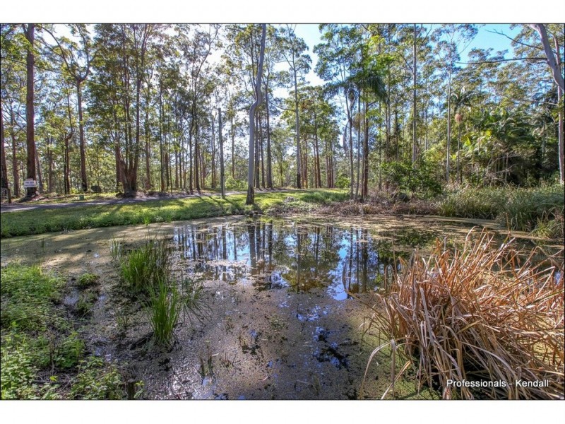905J Main Western Road, Tamborine Mountain QLD 4272