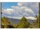 11 Myra Court, Witheren QLD 4275