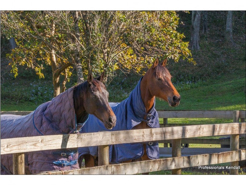 36 Tarata Rd, Guanaba QLD 4210