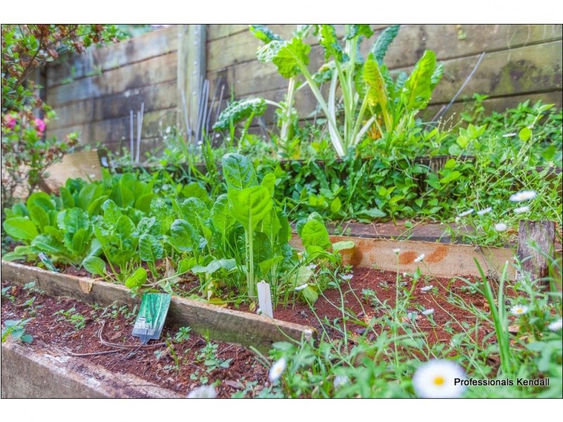 122 Contour Road, Tamborine Mountain QLD 4272