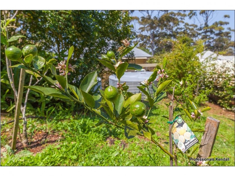 122 Contour Road, Tamborine Mountain QLD 4272