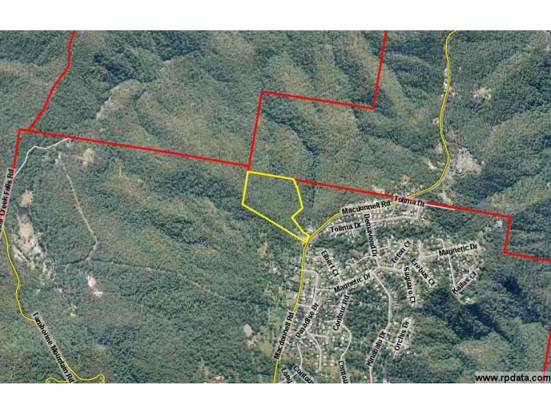 262 MacDonnell Road, Tamborine Mountain QLD 4272