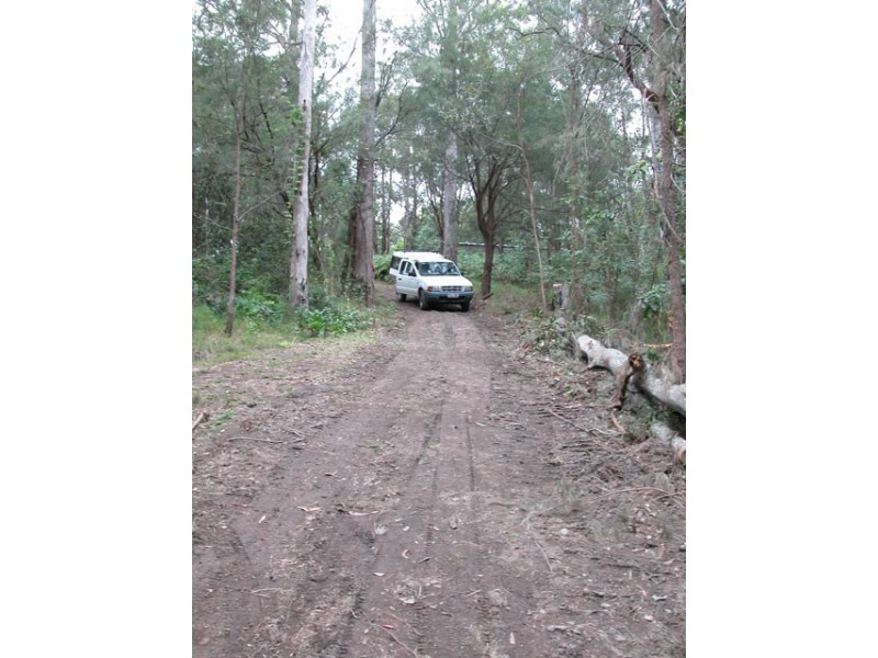 262 MacDonnell Road, Tamborine Mountain QLD 4272