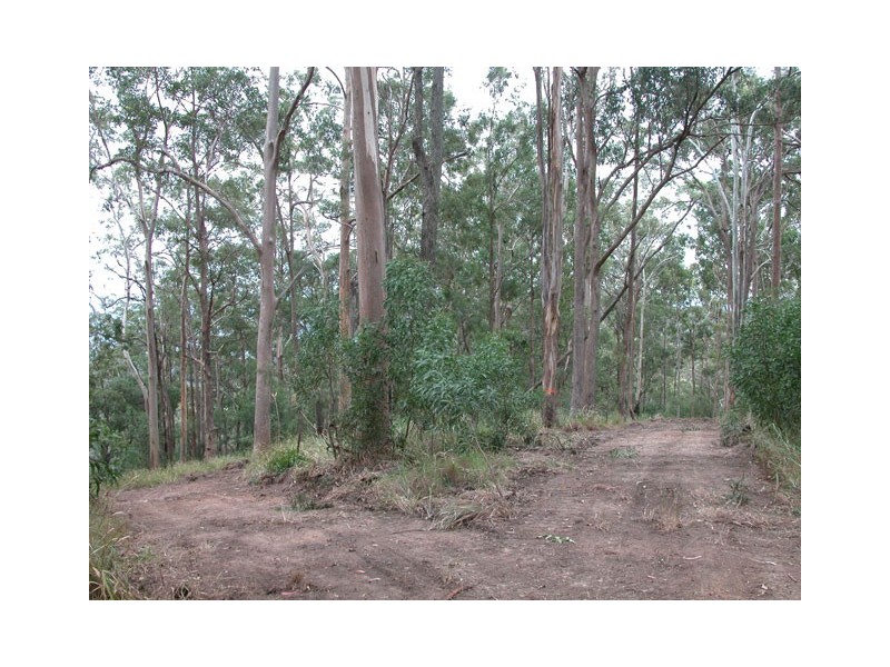 262 MacDonnell Road, Tamborine Mountain QLD 4272