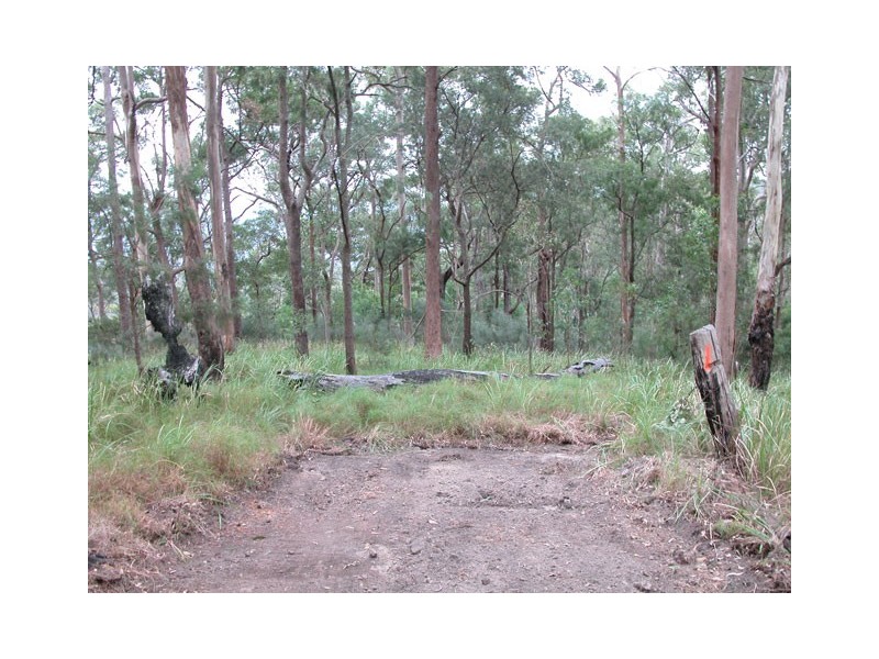 262 MacDonnell Road, Tamborine Mountain QLD 4272