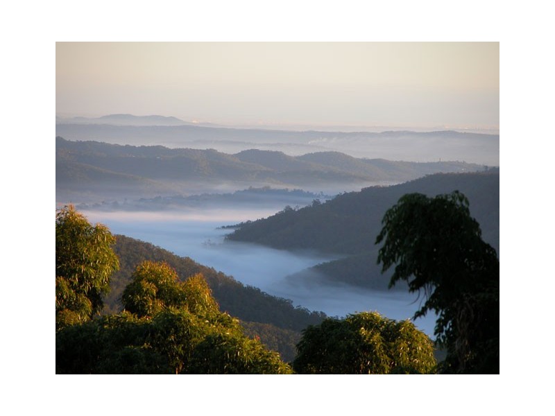 262 MacDonnell Road, Tamborine Mountain QLD 4272