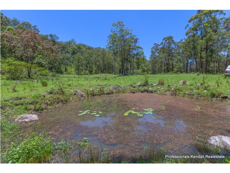 905M Main Western Road, Tamborine Mountain QLD 4272