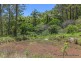 905M Main Western Road, Tamborine Mountain QLD 4272