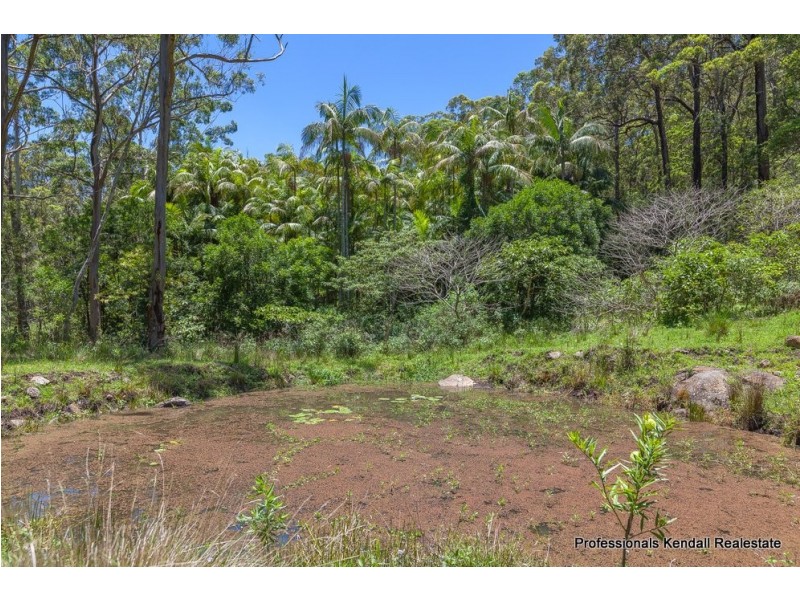 905M Main Western Road, Tamborine Mountain QLD 4272