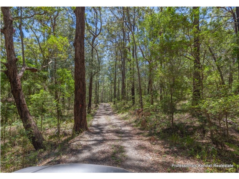 905M Main Western Road, Tamborine Mountain QLD 4272