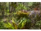905M Main Western Road, Tamborine Mountain QLD 4272