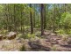 905M Main Western Road, Tamborine Mountain QLD 4272